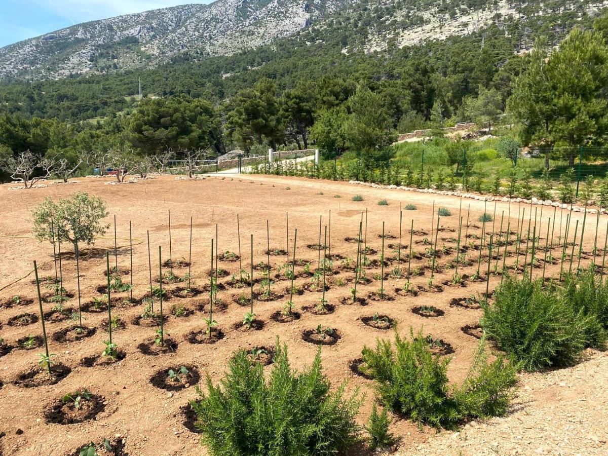 Villa Garden Bol